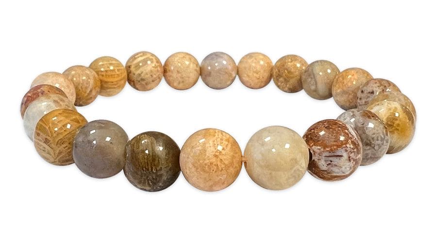 Bracelet Corail Fossile Ø 8mm